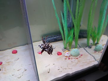 名古屋港水族館に投稿された画像（2023/12/30）