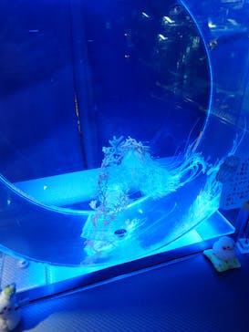 名古屋港水族館に投稿された画像（2023/12/30）