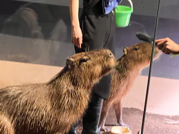 マクセル アクアパーク品川に投稿された画像（2023/12/30）