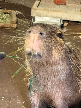 マクセル アクアパーク品川に投稿された画像（2023/12/30）