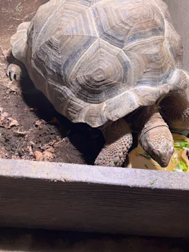 マクセル アクアパーク品川に投稿された画像（2023/12/30）