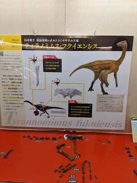 福井県立恐竜博物館に投稿された画像（2023/12/30）