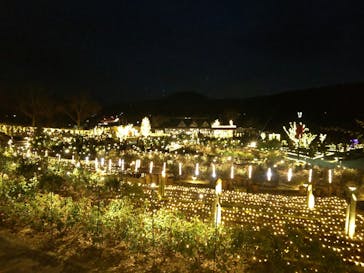 いばらきフラワーパークに投稿された画像（2023/12/30）