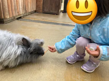 神戸どうぶつ王国に投稿された画像（2023/12/30）