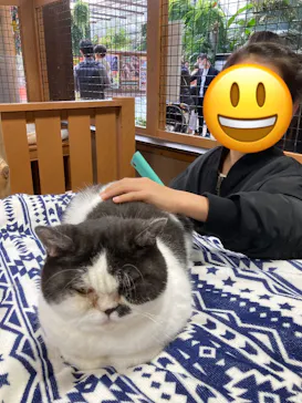 神戸どうぶつ王国に投稿された画像（2023/12/30）