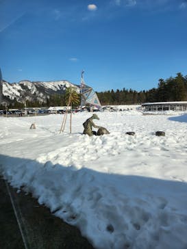福井県立恐竜博物館に投稿された画像（2023/12/30）