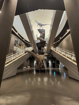 福井県立恐竜博物館に投稿された画像（2023/12/30）