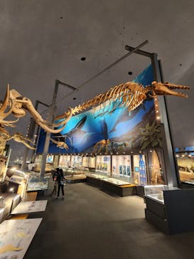 福井県立恐竜博物館に投稿された画像（2023/12/30）