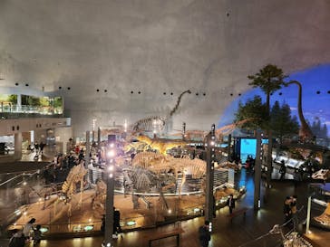 福井県立恐竜博物館に投稿された画像（2023/12/30）