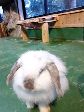 長崎バイオパークに投稿された画像（2023/12/30）