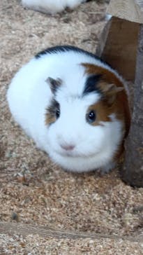 長崎バイオパークに投稿された画像（2023/12/30）