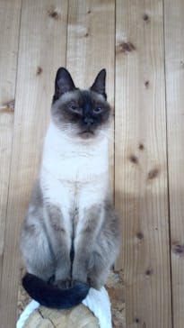 長崎バイオパークに投稿された画像（2023/12/30）