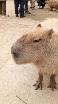 長崎バイオパークに投稿された画像（2023/12/30）