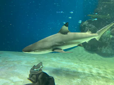 マクセル アクアパーク品川に投稿された画像（2023/12/31）