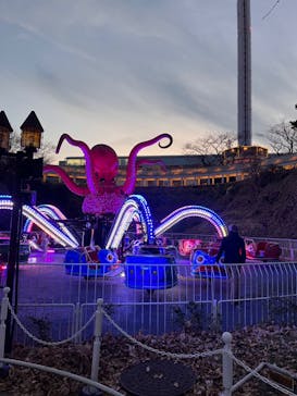 西武園ゆうえんちに投稿された画像（2023/12/31）