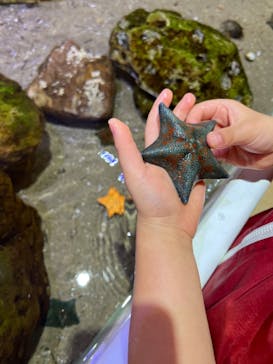 南知多ビーチランド＆南知多おもちゃ王国に投稿された画像（2023/12/31）