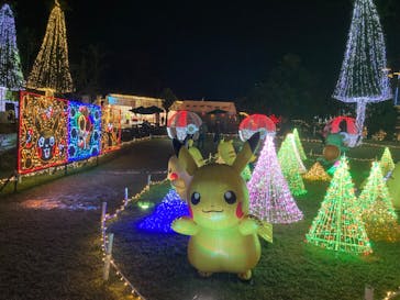 美らヤシパークオキナワ・東南植物楽園に投稿された画像（2023/12/31）