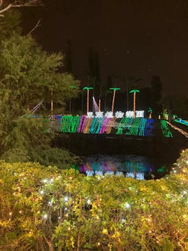 美らヤシパークオキナワ・東南植物楽園に投稿された画像（2023/12/31）