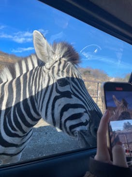 東北サファリパークに投稿された画像（2023/12/31）
