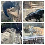 神戸どうぶつ王国に投稿された画像（2023/12/31）