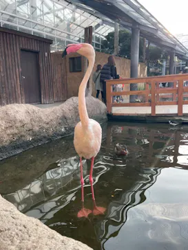 神戸どうぶつ王国に投稿された画像（2023/12/31）