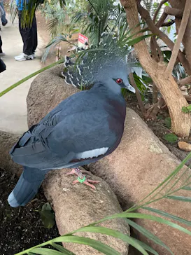 神戸どうぶつ王国に投稿された画像（2023/12/31）