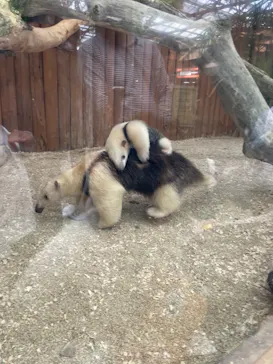 神戸どうぶつ王国に投稿された画像（2023/12/31）