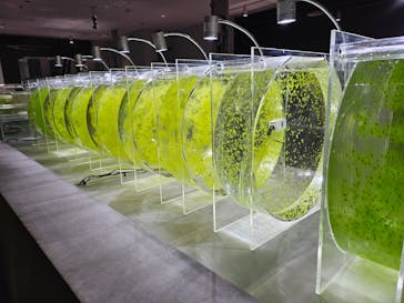 AOAO SAPPOROに投稿された画像（2023/12/31）