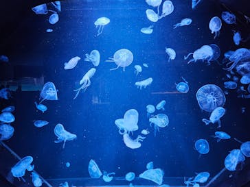 AOAO SAPPOROに投稿された画像（2023/12/31）