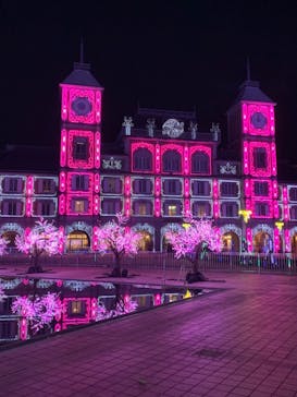 神戸イルミナージュに投稿された画像（2023/12/31）