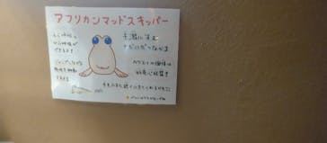 カワスイ 川崎⽔族館に投稿された画像（2023/12/31）