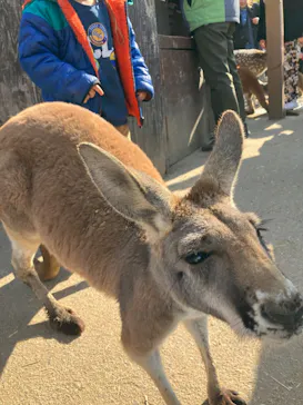 神戸どうぶつ王国に投稿された画像（2023/12/31）