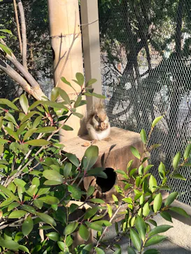 神戸どうぶつ王国に投稿された画像（2023/12/31）