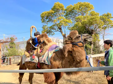 神戸どうぶつ王国に投稿された画像（2023/12/31）