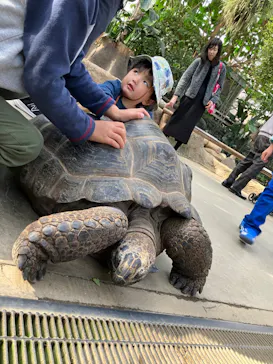 神戸どうぶつ王国に投稿された画像（2023/12/31）