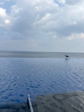 大分マリーンパレス水族館 「うみたまご」に投稿された画像（2023/12/31）