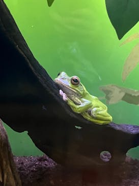 サンシャイン水族館に投稿された画像（2023/12/31）