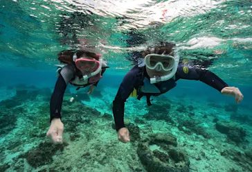 武藤潜水に投稿された画像（2023/12/31）