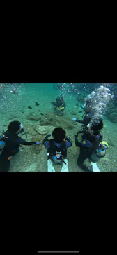 武藤潜水に投稿された画像（2023/12/31）