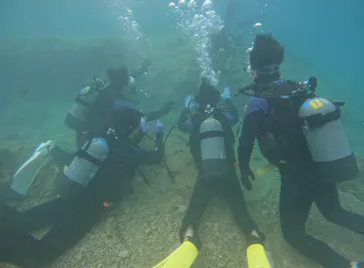 武藤潜水に投稿された画像（2023/12/31）