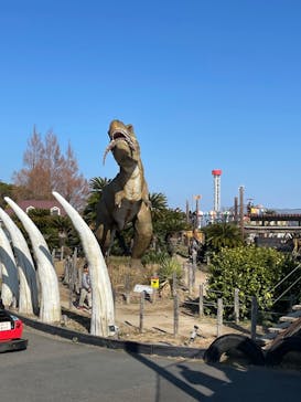 伊豆ぐらんぱる公園に投稿された画像（2023/12/31）