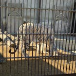 宇都宮動物園に投稿された画像（2023/12/31）