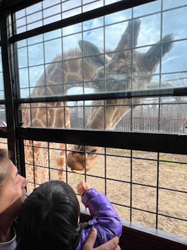 那須サファリパークに投稿された画像（2023/12/31）