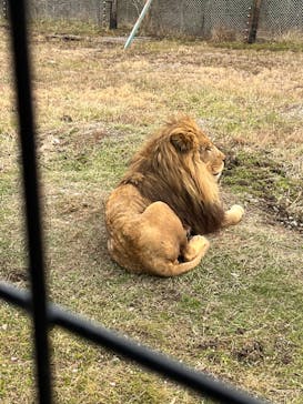 那須サファリパークに投稿された画像（2023/12/31）