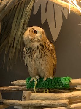 カワスイ 川崎⽔族館に投稿された画像（2023/12/31）