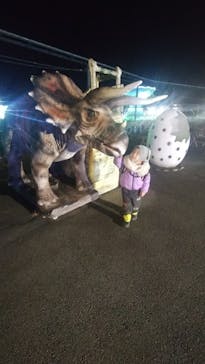 伊豆ぐらんぱる公園に投稿された画像（2023/12/31）