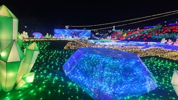 伊豆ぐらんぱる公園に投稿された画像（2023/12/31）