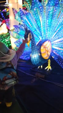 伊豆ぐらんぱる公園に投稿された画像（2023/12/31）