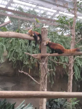 神戸どうぶつ王国に投稿された画像（2023/12/31）