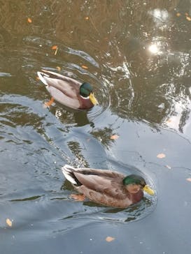 神戸どうぶつ王国に投稿された画像（2023/12/31）